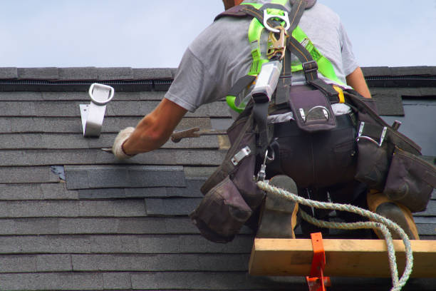 Best Roof Gutter Cleaning  in Horizon City, TX